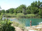 dcp_0634.jpg (114190 bytes)