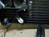 dcp_1024.jpg (71627 bytes)